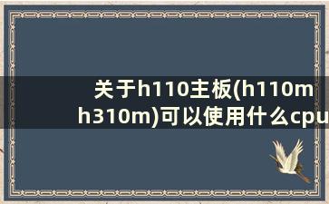 关于h110主板(h110m h310m)可以使用什么cpu-zol的问答